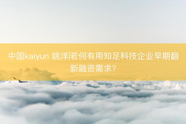 中国kaiyun 姚洋|若何有用知足科技企业早期翻新融资需求？
