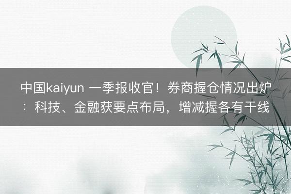 中国kaiyun 一季报收官！券商握仓情况出炉：科技、金融获要点布局，增减握各有干线