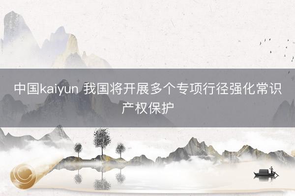 中国kaiyun 我国将开展多个专项行径强化常识产权保护
