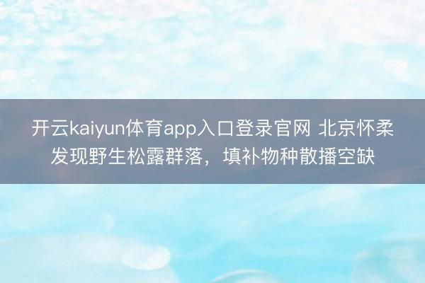 开云kaiyun体育app入口登录官网 北京怀柔发现野生松露群落，填补物种散播空缺
