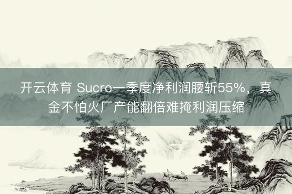 开云体育 Sucro一季度净利润腰斩55%，真金不怕火厂产能翻倍难掩利润压缩