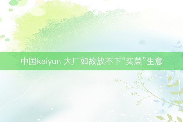 中国kaiyun 大厂如故放不下“买菜”生意