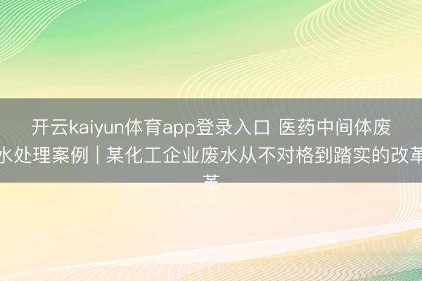 开云kaiyun体育app登录入口 医药中间体废水处理案例 | 某化工企业废水从不对格到踏实的改革