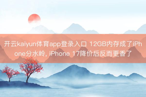 开云kaiyun体育app登录入口 12GB内存成了iPhone分水岭, iPhone 17降价后反而更香了
