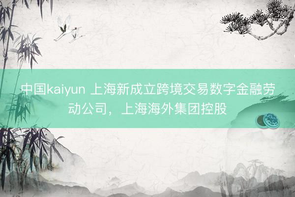 中国kaiyun 上海新成立跨境交易数字金融劳动公司，上海海外集团控股